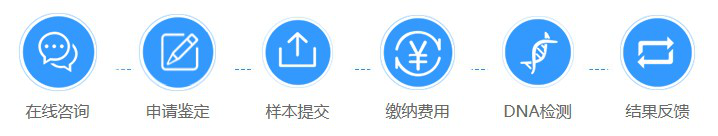P39b73d595a0d4905933e0c24fed23192.png