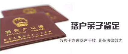 亲子鉴定